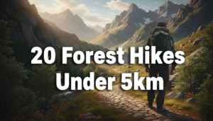image of Top Under km Forest Hikes for Beginners in the UK